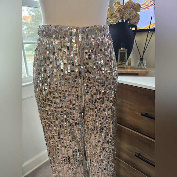 Cream Sequin Pants - Picture 2 of 6
